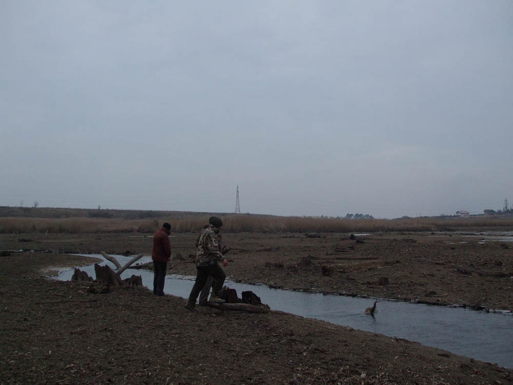 TANCABESTI SECAT - DSCF3462.jpg